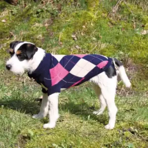 "Edmonton" Pullover med lille ærme ved forben | Kan bestilles