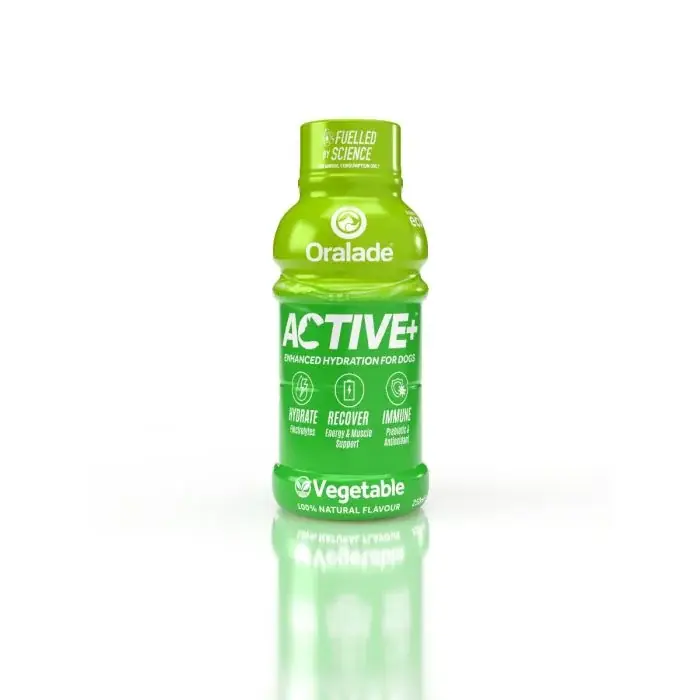 Nytilføjet | Active veggie med grøntsagssmag 250 ml