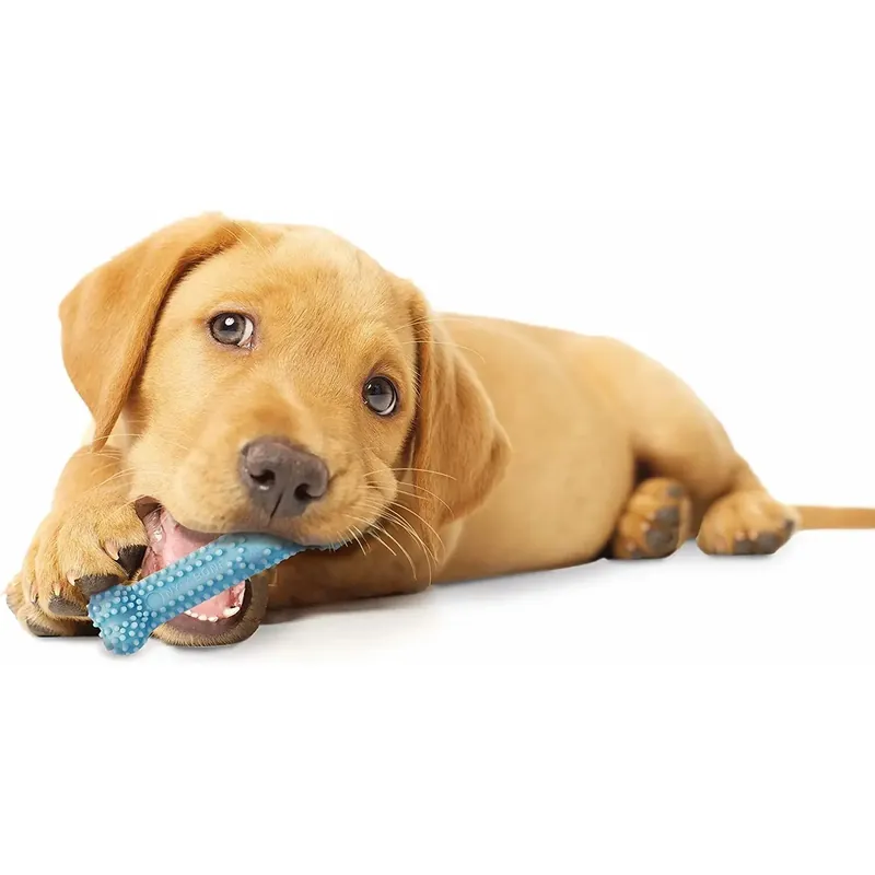 Nylabone Hundelegetøj Puppy Teething Dental Chew - Blue Chicken XS | Bedste pris