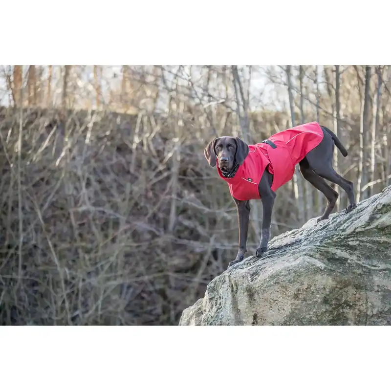 Trixie Mackintosh til hunde Vimy | Særtilbud