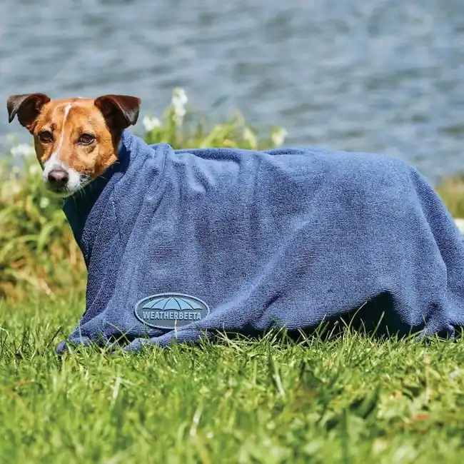 Weatherbeeta Comfitec Dry-Dog Bag | Kundernes valg