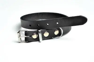 *Prag halsbånd - Sort - 26-31cm - 12mmx30cm - Netop ankommet